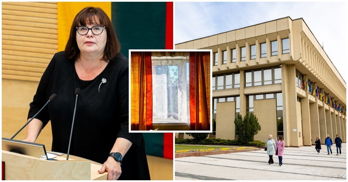 Netikėtas svečias Seimo narės kabinete: kodėl šikšnosparniai vis dažniau pasirodo parlamente