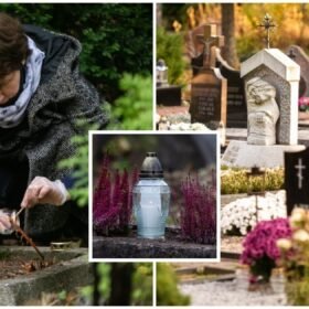 Kapų augalai gali nemaloniai nustebinti: klaida, kuri po kelerių metų uždengia net paminklo užrašus