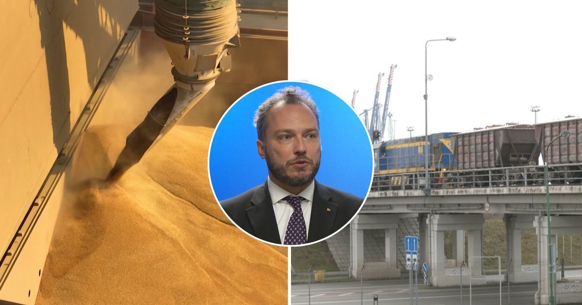 Rusiški grūdai vis dar juda per Lietuvą: Baltijos šalys svarsto bendrą atsaką