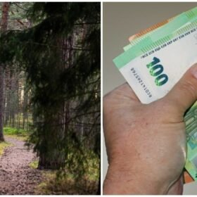 Vienas neapgalvotas veiksmas miške: bauda gali siekti net 750 eurų
