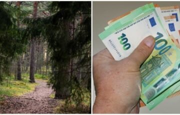 Vienas neapgalvotas veiksmas miške: bauda gali siekti net 750 eurų