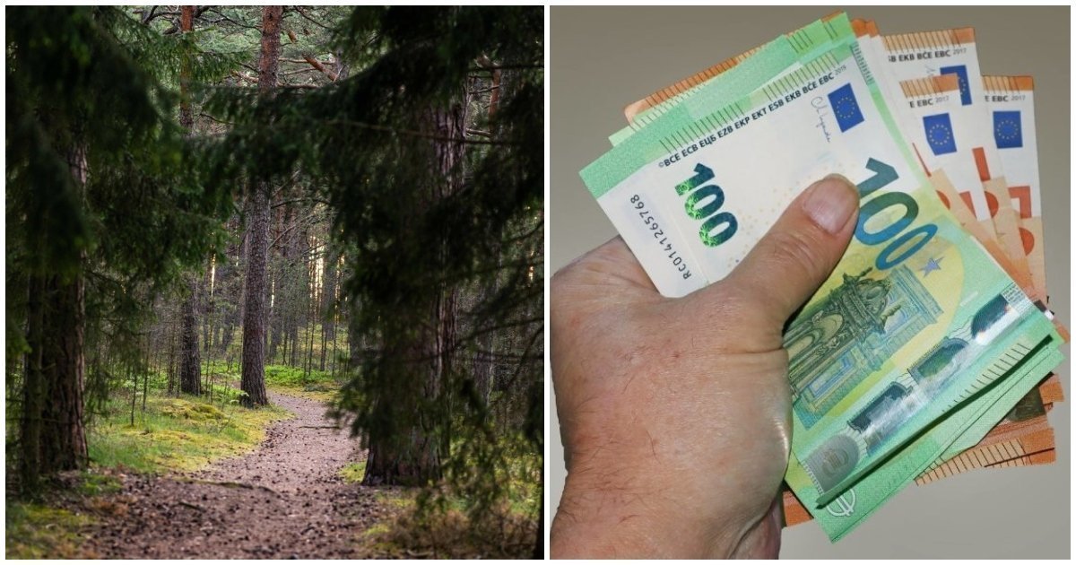 Vienas neapgalvotas veiksmas miške: bauda gali siekti net 750 eurų