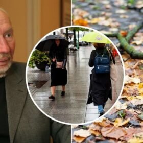 Pajūryje – milžiniškas narkotikų smūgis: perimtas 41 kg kanapių krovinys