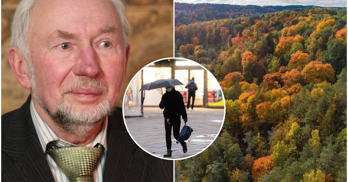 Gamta siunčia prieštaringus signalus: Klimka atskleidė, kiek truks bobų vasara