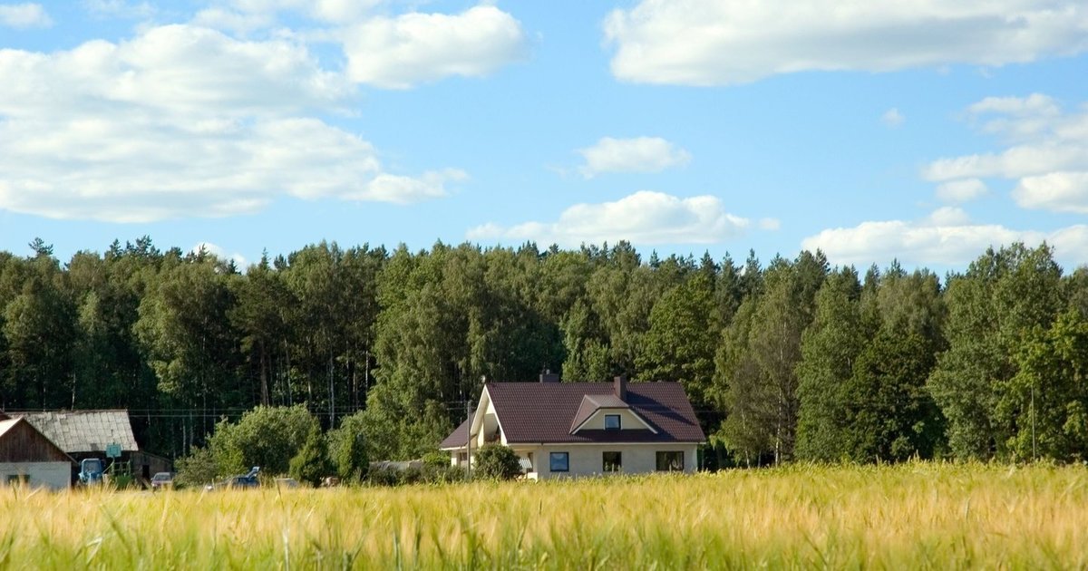 Nenaudojama žemė gali atnešti tūkstančius: už miško įveisimą ar atkūrimą – parama iki 2026-ųjų