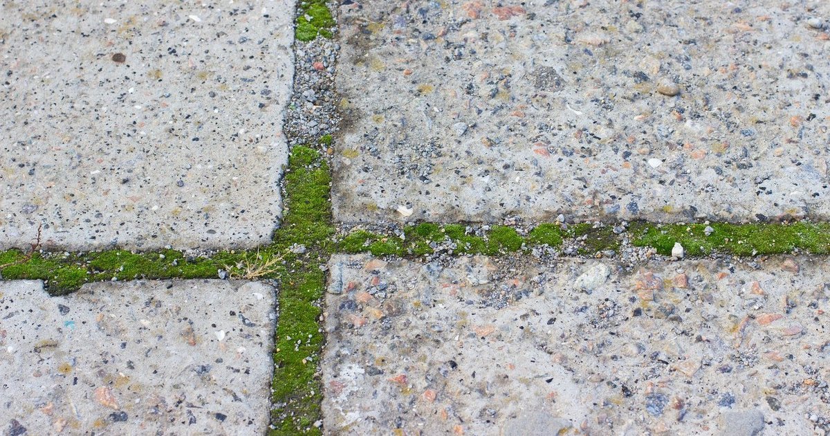 Trinkelių tarpai vėl apžėlė: veiksmingi būdai žolėms ir samanoms įveikti