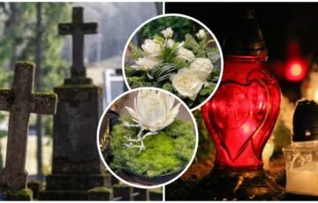 Vėlinėms kapus puošia ne bet kas: šie augalai grožį išlaiko ir atšalus
