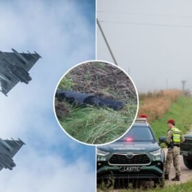 Drono numušimas galėjo kainuoti milijoną eurų: ekspertai aiškina, kodėl svarbiausia buvo ne kaina