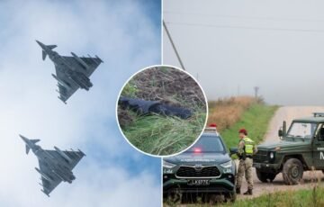Drono numušimas galėjo kainuoti milijoną eurų: ekspertai aiškina, kodėl svarbiausia buvo ne kaina