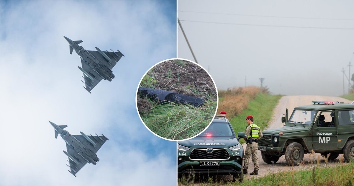 Drono numušimas galėjo kainuoti milijoną eurų: ekspertai aiškina, kodėl svarbiausia buvo ne kaina