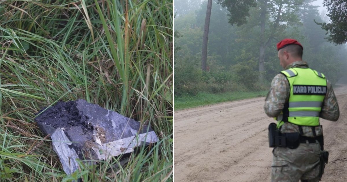 Dronas numuštas virš Kaišiadorių rajono: kariuomenė parodė, kas liko po smūgio