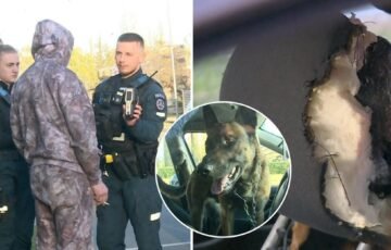 Panevėžyje sustabdytas neblaivus vairuotojas: galinėje „Ford Focus“ sėdynėje laukė netikėtas chaosas