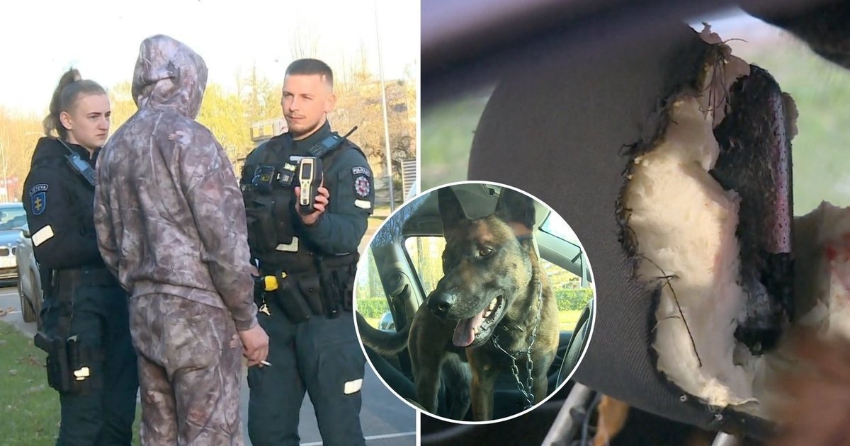 Panevėžyje sustabdytas neblaivus vairuotojas: galinėje „Ford Focus“ sėdynėje laukė netikėtas chaosas