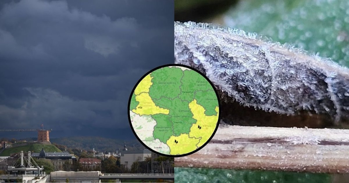 Lietuvą pasieks šalnos ir rūkas: šiose apskrityse sąlygos taps pavojingesnės