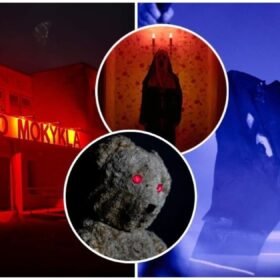 Milžiniškas žemės sandoris sukėlė aliarmą: ministras siekia griežtesnės kontrolės