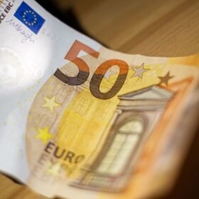 Stikliniai pastatai tampa paukščių kapinėmis: per valandą surinkta 100 negyvų sparnuočių