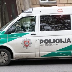 Stikliniai pastatai tampa paukščių kapinėmis: per valandą surinkta 100 negyvų sparnuočių