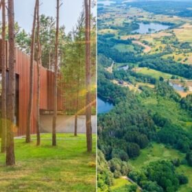 Lietuvių kiemuose karaliauja aiškus favoritas: šį augalą klientai renkasi masiškai