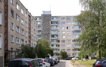 Paukščiai masiškai trenkiasi į langus: paprasti sprendimai gali išgelbėti jų gyvybes