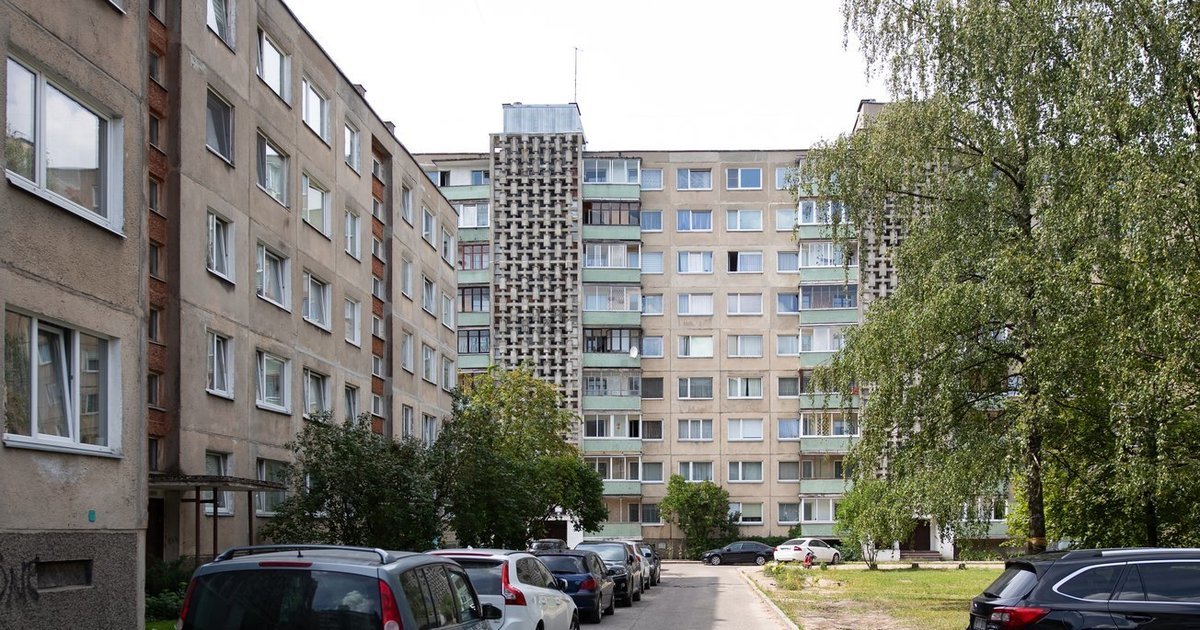 Paukščiai masiškai trenkiasi į langus: paprasti sprendimai gali išgelbėti jų gyvybes