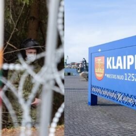 Chrizantemos nebėra vienintelis pasirinkimas: šios gėlės kapus puoš net po šalnų