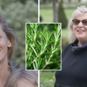 Lietuva atsisveikina su Selemonu Paltanavičiumi: jautrius žodžius jam skyrė šalies vadovai