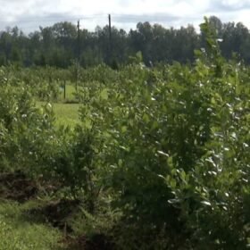 Sukčių SMS taikosi į UNIPARK klientus: viena detalė išduoda apgaulę