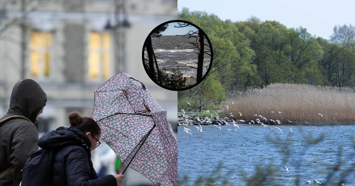 Vėjas priartėjo prie katastrofinės ribos: pajūryje fiksuojama audros žala ir ribojama laivyba