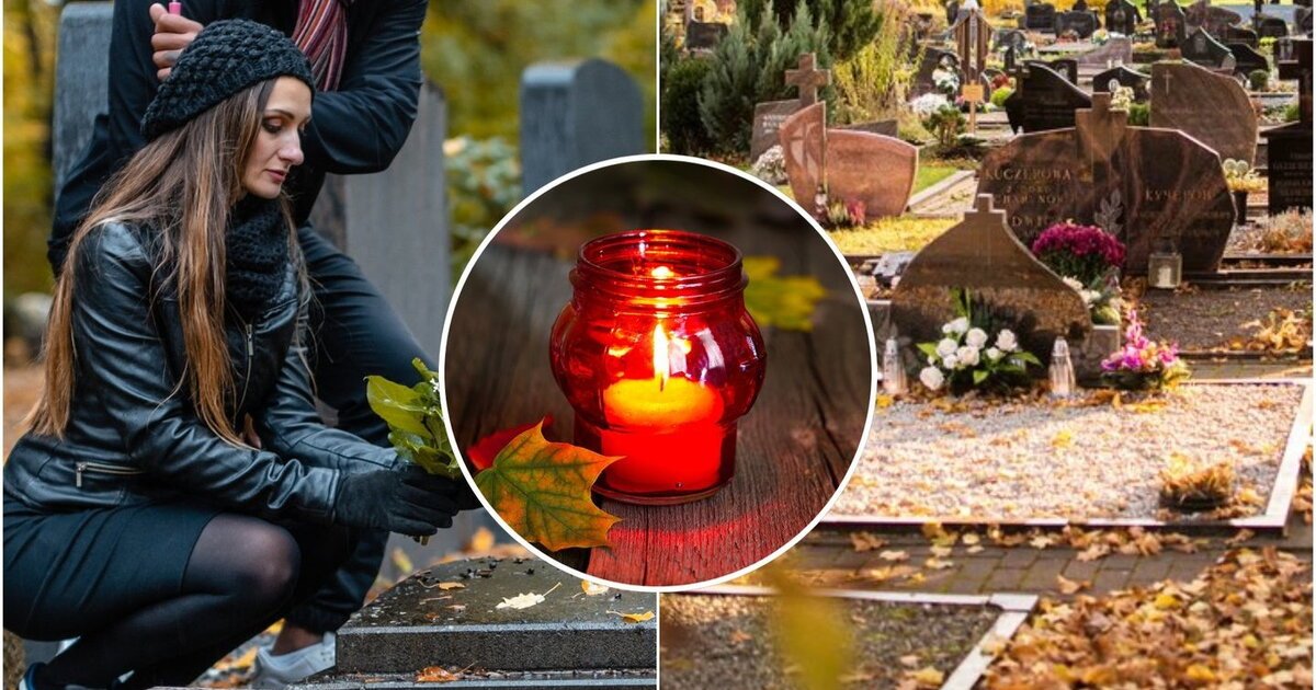 Chrizantemos nebėra vienintelis pasirinkimas: šios gėlės kapus puoš net po šalnų