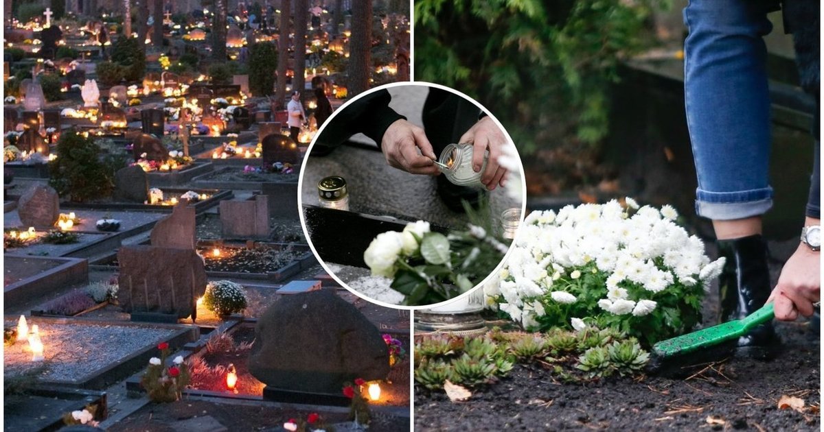 Kapų puošyba gali kainuoti gerokai mažiau: šis sodo augalas simbolizuoja viltį ir amžinąjį gyvenimą