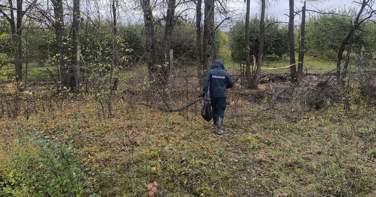 Drono sprogimo vietoje – pareigūnai: incidentas prijungtas prie tyrimo dėl karo nusikaltimų Ukrainoje