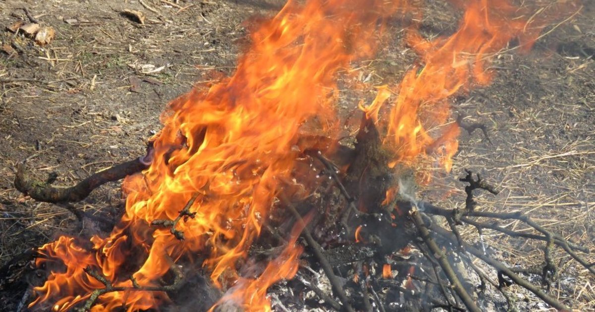 Dūmai per tvorą įplieskė konfliktą: į Pelėdnagius skubėjo ugniagesiai