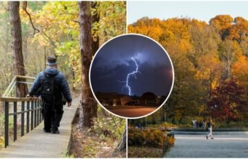 Gamta jau siunčia ženklus: senolių išmintis atskleidžia, kokios žiemos galima tikėtis