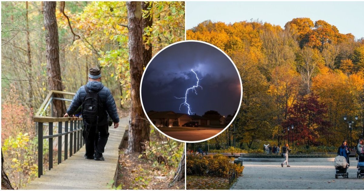 Gamta jau siunčia ženklus: senolių išmintis atskleidžia, kokios žiemos galima tikėtis