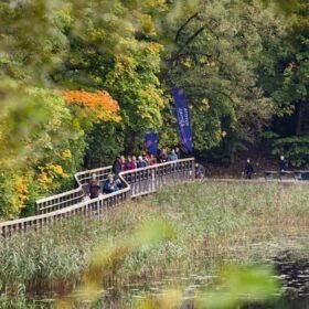 Grybų sezonas vilioja, bet slepia riziką: kada miško laimikis gali sutrikdyti virškinimą