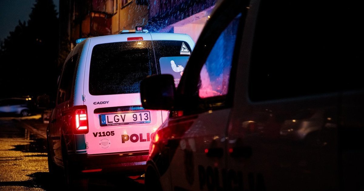 Telefoninis prisipažinimas sukrėtė dukrą: ką mama pasakė radus tėvą be gyvybės ženklų