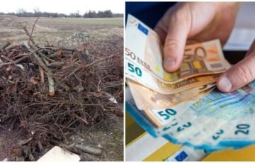 Lapai ir šakos kieme gali kainuoti brangiai: už šią klaidą gresia iki 140 eurų bauda