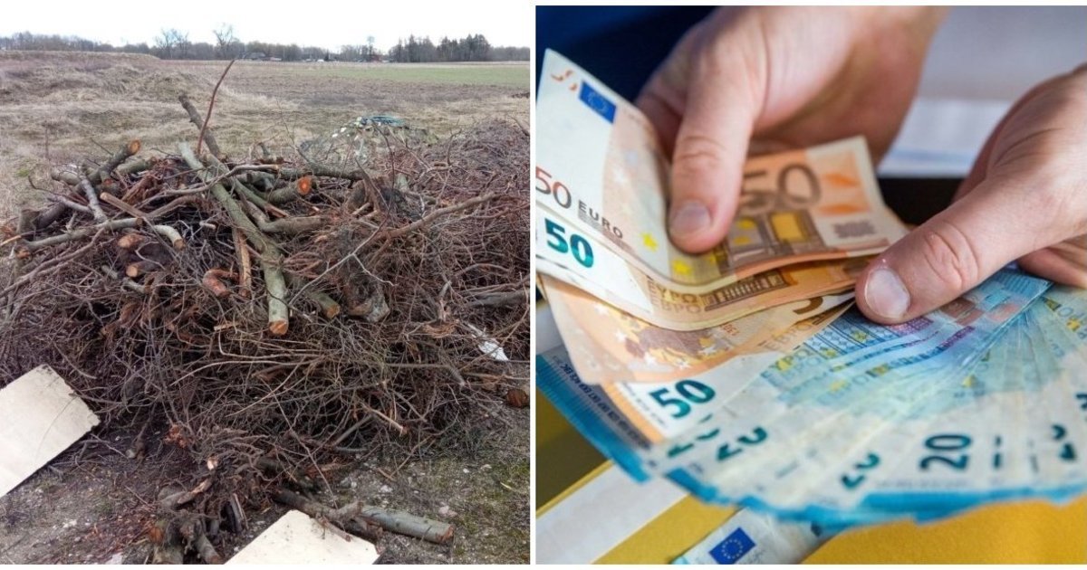 Lapai ir šakos kieme gali kainuoti brangiai: už šią klaidą gresia iki 140 eurų bauda