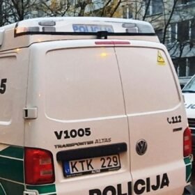 Lietuvių kiemuose karaliauja aiškus favoritas: šį augalą klientai renkasi masiškai