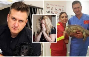 Veterinarą sukrėtė žmonių žiaurumas: kai kurių gyvūnų sužalojimai aptinkami visai netikėtai