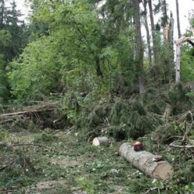 Spalio 2-osios horoskopas: vienas neapgalvotas sprendimas gali pakeisti dienos kryptį