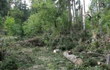 Audros nuostoliai jau kompensuojami: po spalio 5-osios išmokos peržengs 500 tūkst. eurų ribą