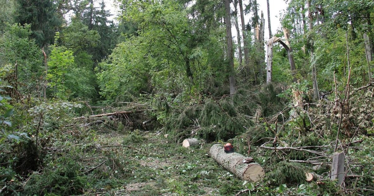 Audros nuostoliai jau kompensuojami: po spalio 5-osios išmokos peržengs 500 tūkst. eurų ribą