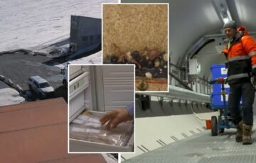 Lietuvos sėklos keliauja į Arkties gelmes: kas bus išsaugota ateities kartoms